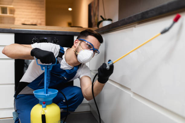 Best Affordable Pest Control Services  in Mountain City, TN
