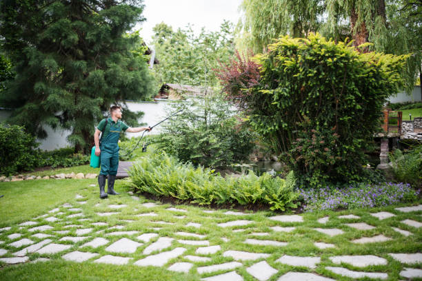 Best Residential Pest Control  in Mountain City, TN