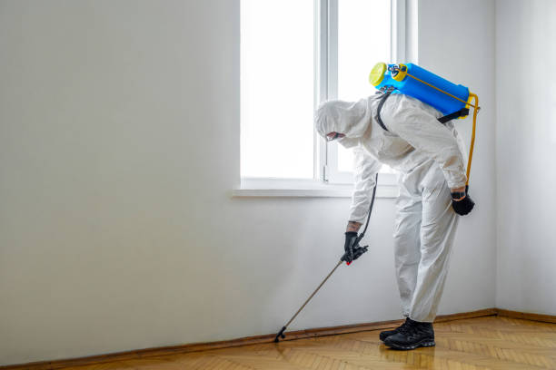 Best Commercial Pest Control Services  in Mountain City, TN