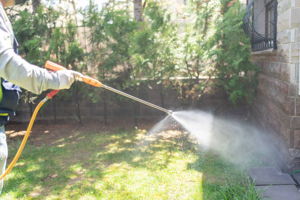 Best Flea Control Services  in Mountain City, TN